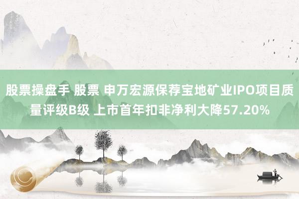 股票操盘手 股票 申万宏源保荐宝地矿业IPO项目质量评级B级 上市首年扣非净利大降57.20%