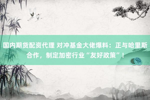 国内期货配资代理 对冲基金大佬爆料：正与哈里斯合作，制定加密行业“友好政策”！