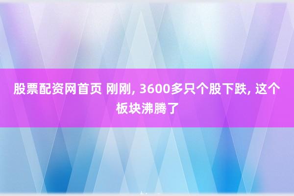 股票配资网首页 刚刚, 3600多只个股下跌, 这个板块沸腾了