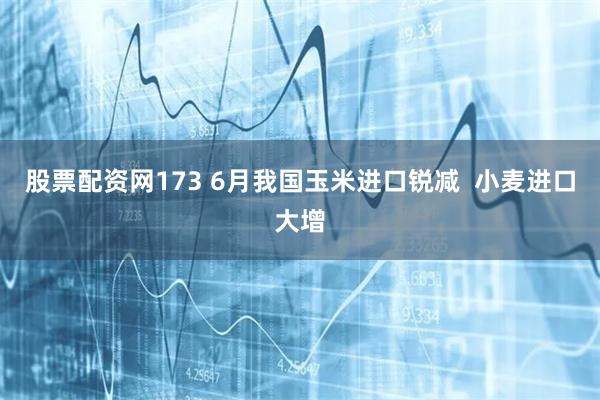 股票配资网173 6月我国玉米进口锐减  小麦进口大增