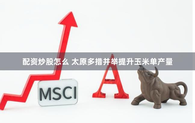配资炒股怎么 太原多措并举提升玉米单产量